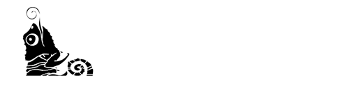 Lagaruapoesia.com